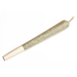 BZAM™ LA Soda Jet Pack Infused Pre-Rolls